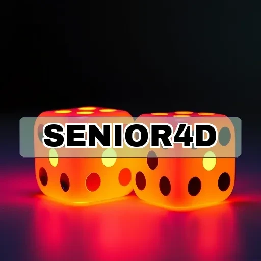 senior4d Game Simulator